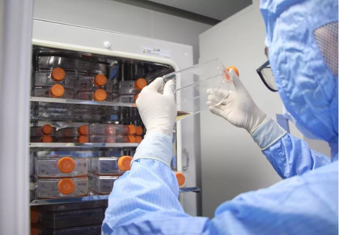 1597204035999757.png blob.png