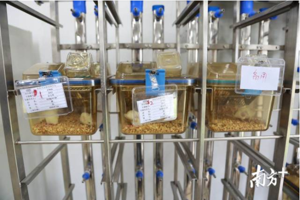 1597306311588975.png blob.png