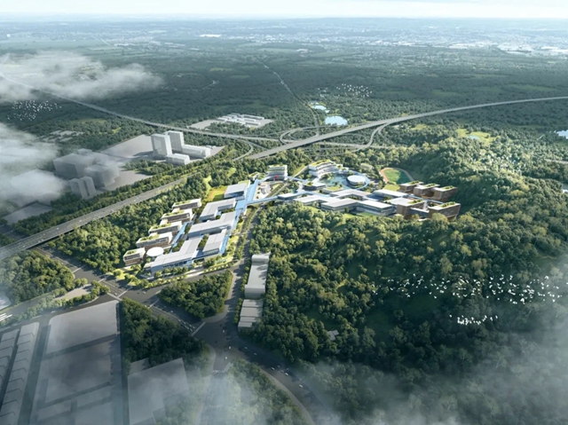 1619092898244850.jpg 640.webp (6).jpg