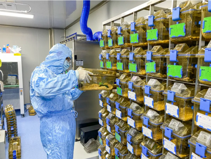 1630374025254705.png image.png