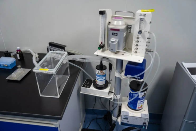 1630374390584887.png image.png