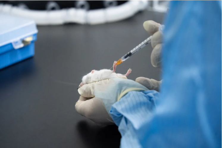 1630374419851943.png image.png